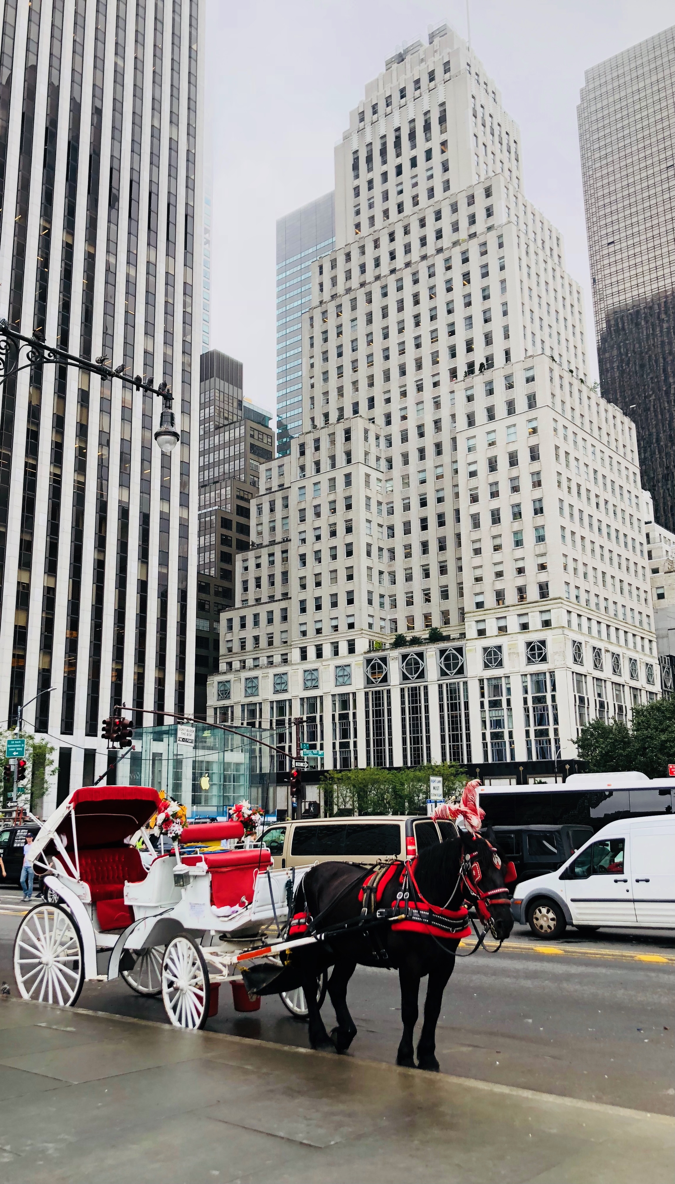 Carriage at Grand Army