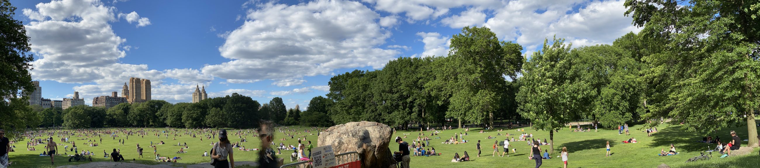 Sheep Meadow and the Midtown skyline