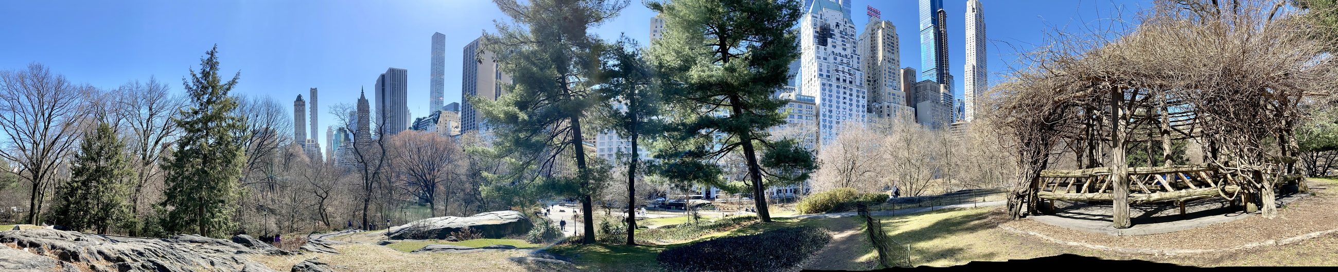 Central Park, winter, with Midtown behind it