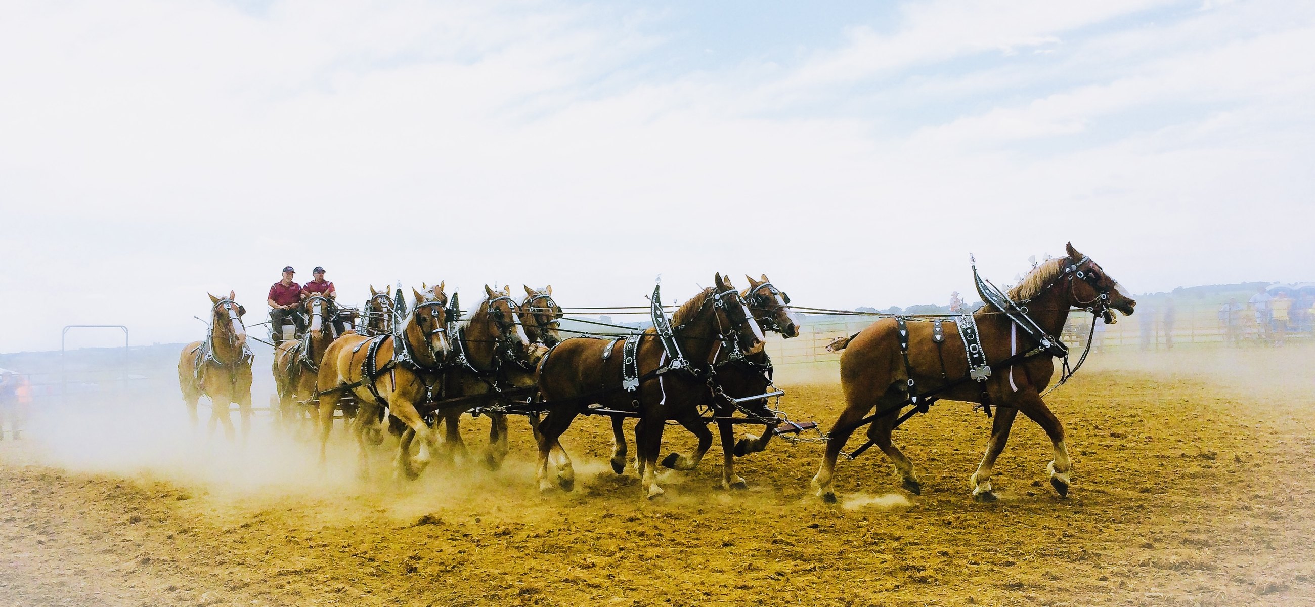 A team of draft horses running through dust