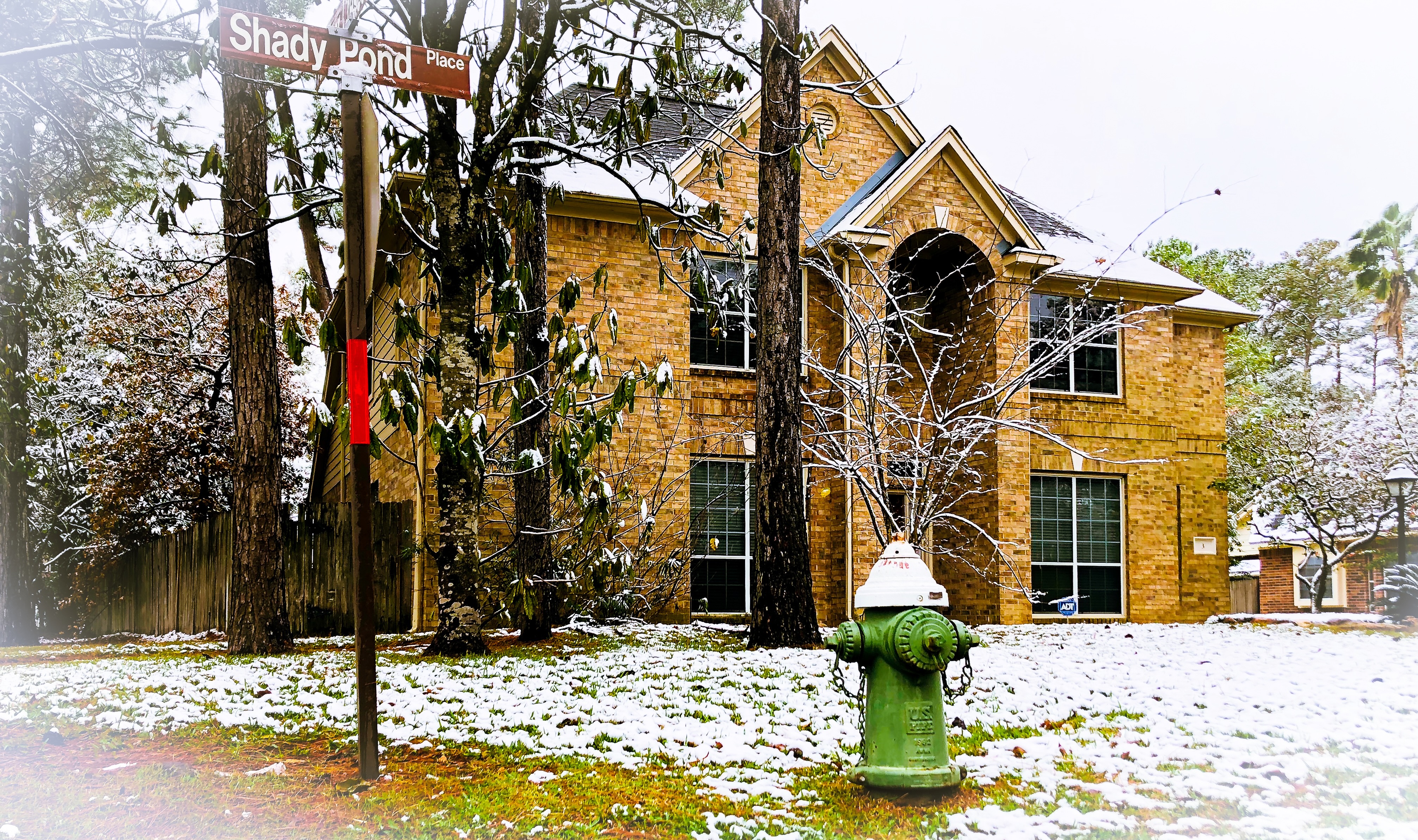 Shady Pond in Winter